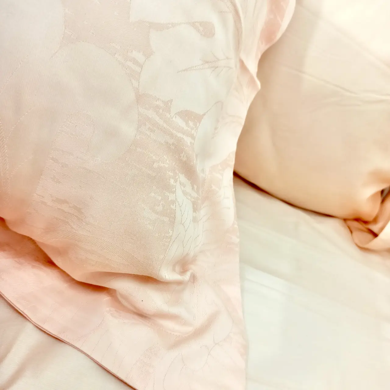 Постельное белье Ailin жаккард с вышивкой евро 200×220 JE-40E